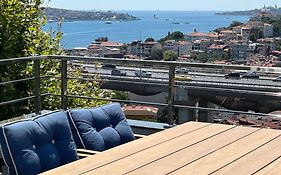 Mona Bosphorus